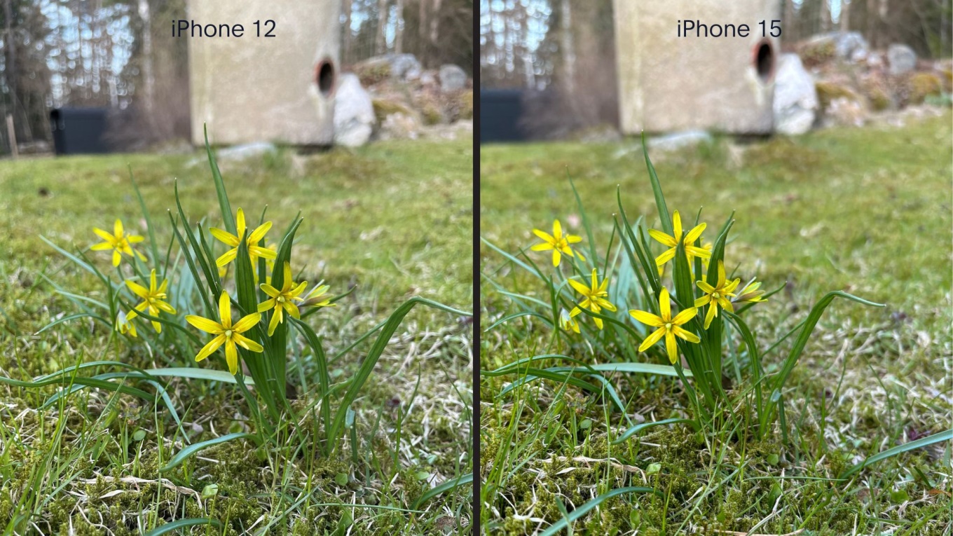 Jämförelse kameror iphone 12 och 15