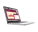 Dell DELL PRO 14