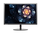 Lenovo LENOVO THINKVISION T2454PA