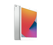 APPLE IPAD 10.2" 8TH GEN (2020) WI-FI