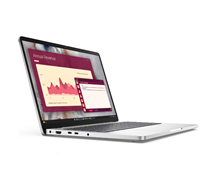 DELL PRO 14