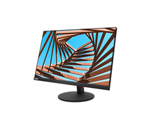 LENOVO THINKVISION T25D-10