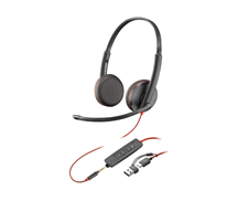Poly BW 3225 USB-C HS +USB-C/A