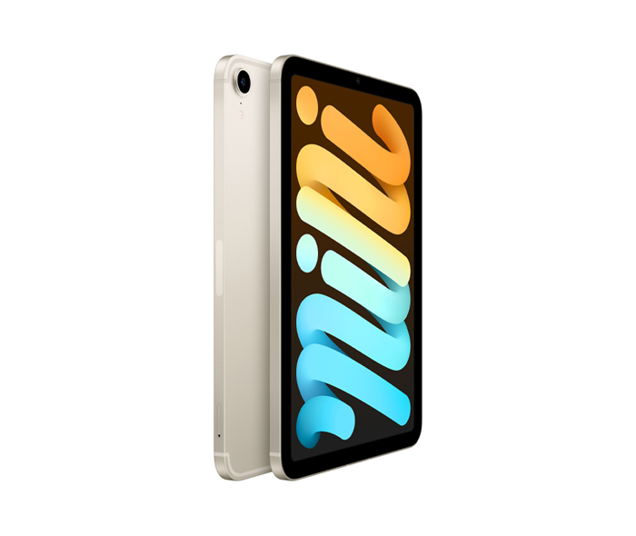 Apple APPLE IPAD MINI 6 (2021) WI-FI