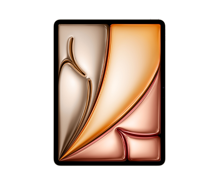 Apple APPLE IPAD AIR 13" (2024) WI-FI + CELLULAR