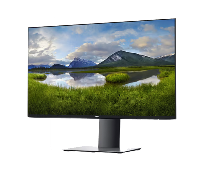 Dell DELL U2419H